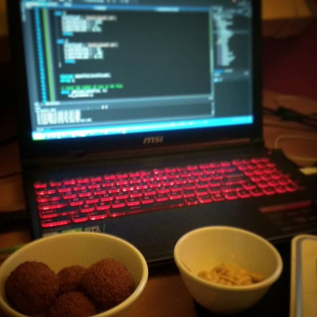 Laptop with code and Bitterballen.